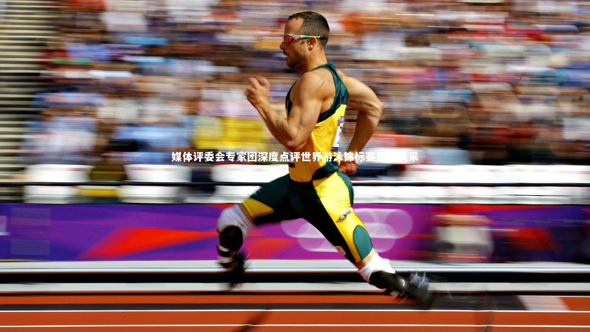 媒体评委会专家团深度点评世界游泳锦标赛竞技风采